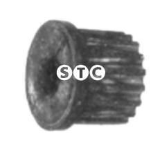 STC T402463 - CASQUILLO BALLESTA VANETTVANETTE -