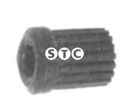 STC T402464 - CASQUILLO BALLESTA VANETTVANETTE -